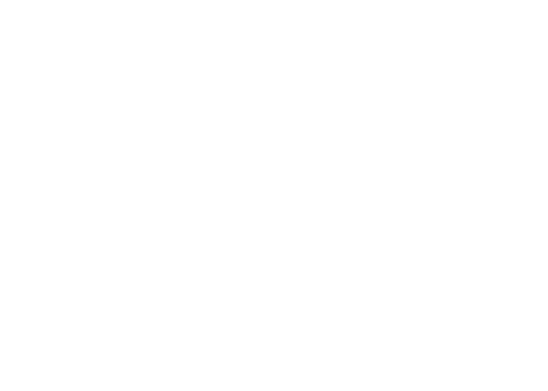 About Us - Bluebird Security